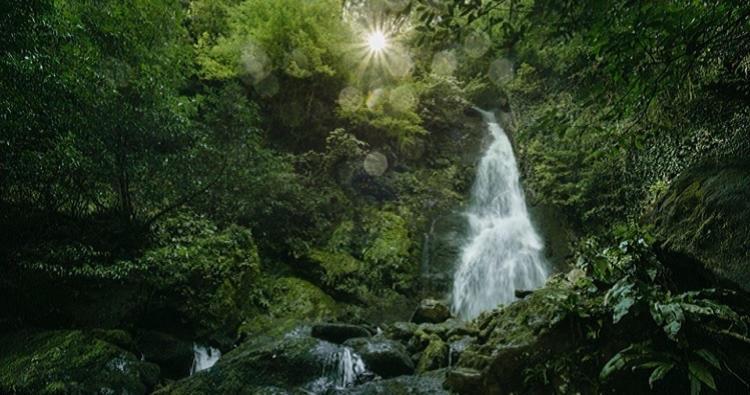 Park Resort Mtirala National Park Chakvistavi 외부 사진